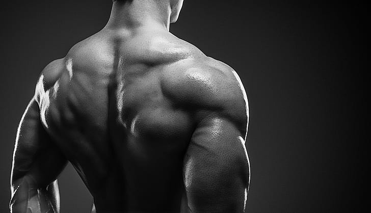 back