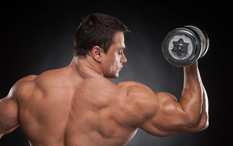 shoulder